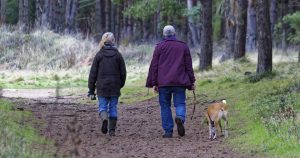 Older couple walking their dog in Albany County | Goldstein Chrysler Jeep Dodge Ram