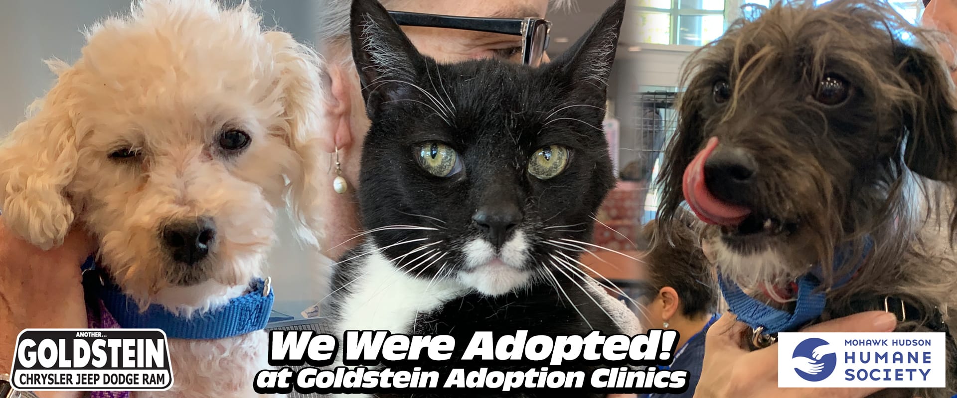 Goldstein Chrysler Dodge Jeep RAM and Mohawk Hudson Humane Society pet adoptions